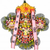 축하5단(최고급형)