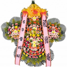 축하5단(최고급형)