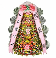 축하화환 특품형